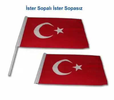Türk Bayrağı 30x45 cm Bayrakçı