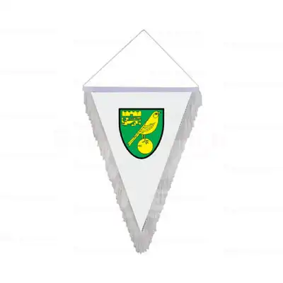 Norwich City gen Saakl Bayrak