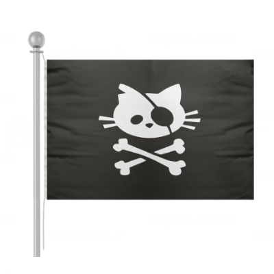 Pirate Cat Skull Bayrak