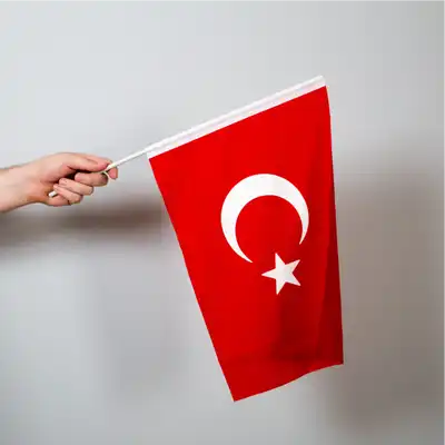 Türk Bayrağı 20x30