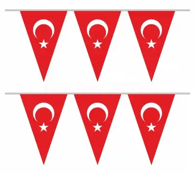 Üçgen İpe Dizili Türk Bayrağı (30x45 cm)